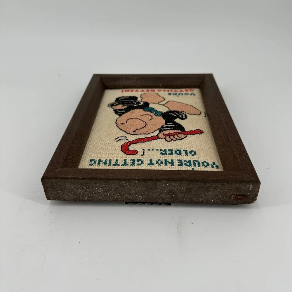 Vintage‎ Cross Stitch Ziggy Frame Wall Art Humor Birthday Gift Zigurat